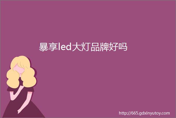 暴享led大灯品牌好吗