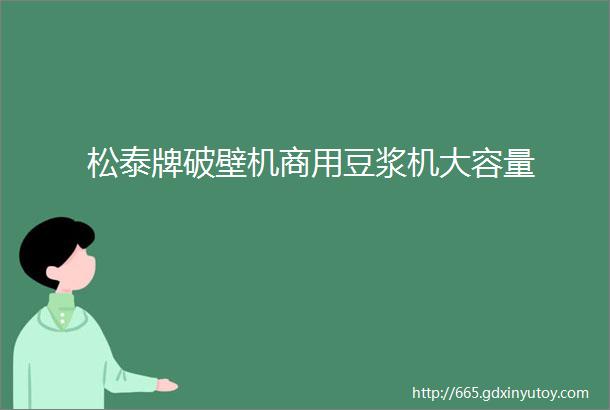 松泰牌破壁机商用豆浆机大容量