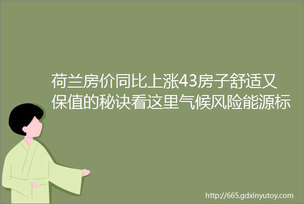 荷兰房价同比上涨43房子舒适又保值的秘诀看这里气候风险能源标签成新热点hellip