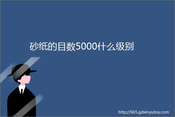 砂纸的目数5000什么级别