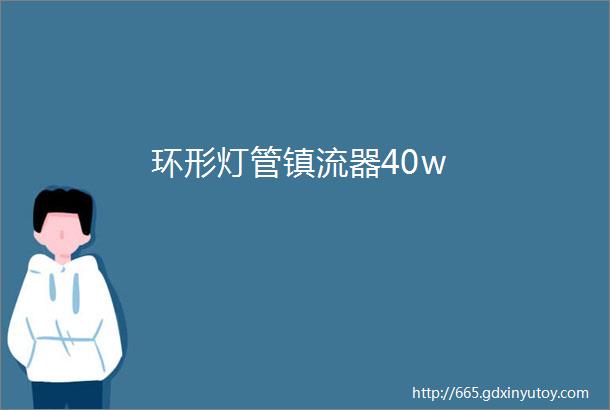 环形灯管镇流器40w