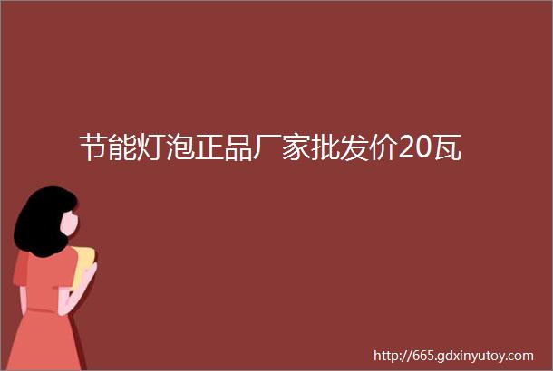 节能灯泡正品厂家批发价20瓦